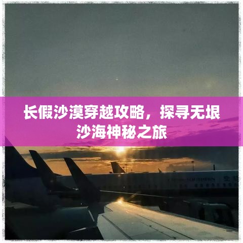 长假沙漠穿越攻略，探寻无垠沙海神秘之旅