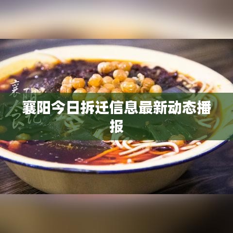 襄阳今日拆迁信息最新动态播报