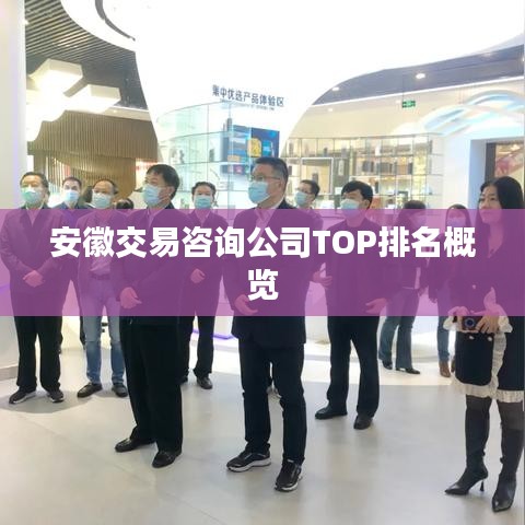 安徽交易咨询公司TOP排名概览