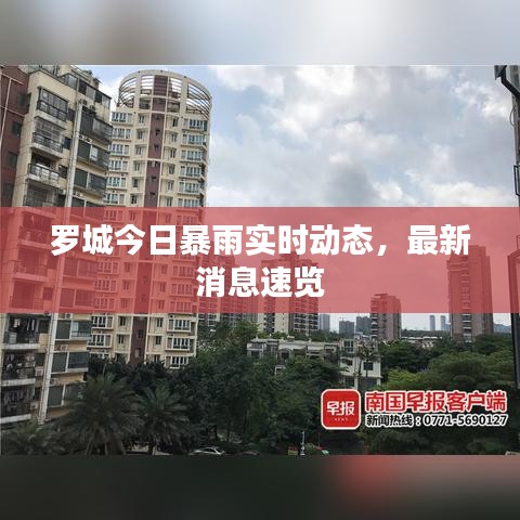 罗城今日暴雨实时动态，最新消息速览
