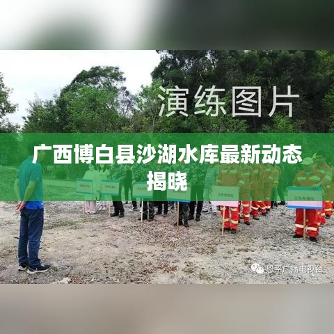 广西博白县沙湖水库最新动态揭晓