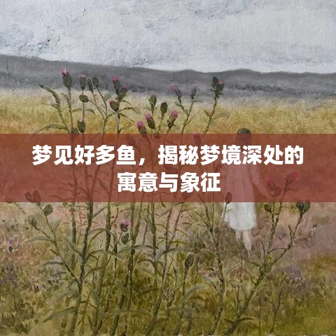 梦见好多鱼，揭秘梦境深处的寓意与象征
