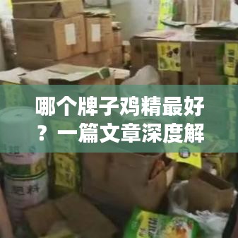 哪个牌子鸡精最好？一篇文章深度解析！