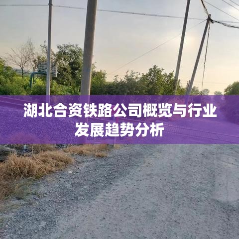湖北合资铁路公司概览与行业发展趋势分析