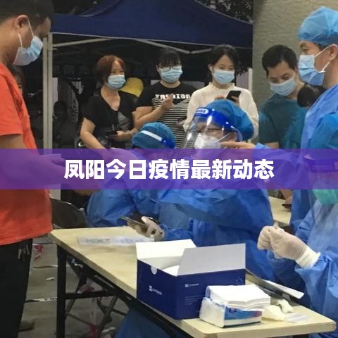 臼灶生蛙 第11页