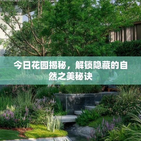 今日花园揭秘，解锁隐藏的自然之美秘诀