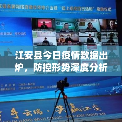 江安县今日疫情数据出炉，防控形势深度分析