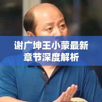 谢广坤王小蒙最新章节深度解析