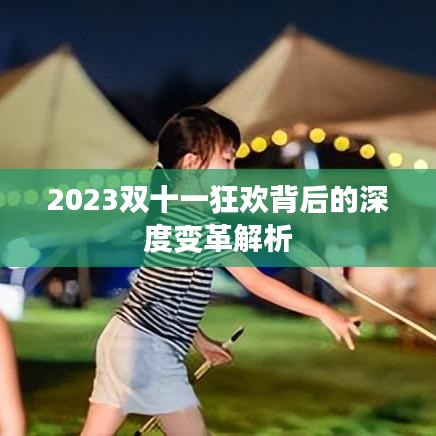 2023双十一狂欢背后的深度变革解析