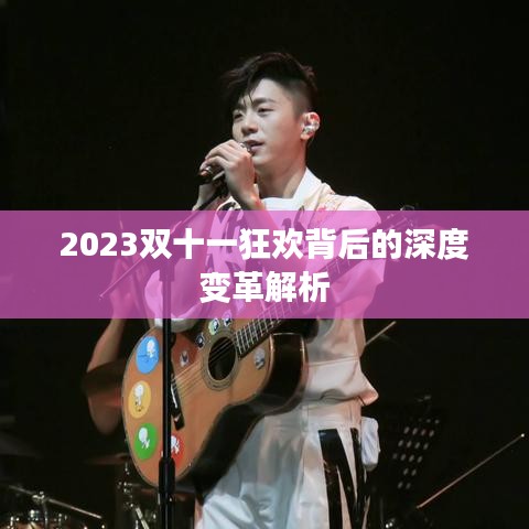 2023双十一狂欢背后的深度变革解析