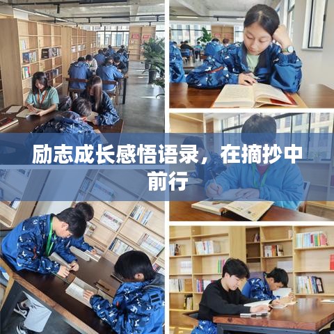 励志成长感悟语录，在摘抄中前行