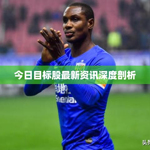 今日目标股最新资讯深度剖析