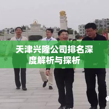 天津兴隆公司排名深度解析与探析