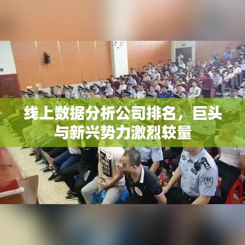 线上数据分析公司排名,巨头与新兴势力激烈较量