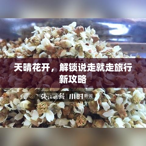 天晴花开，解锁说走就走旅行新攻略