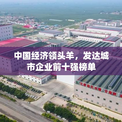 中国经济领头羊,发达城市企业前十强榜单