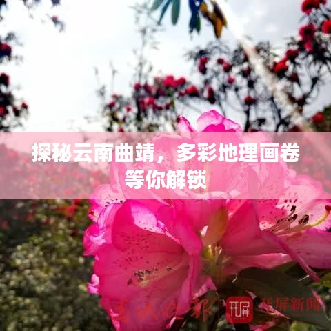 探秘云南曲靖，多彩地理画卷等你解锁