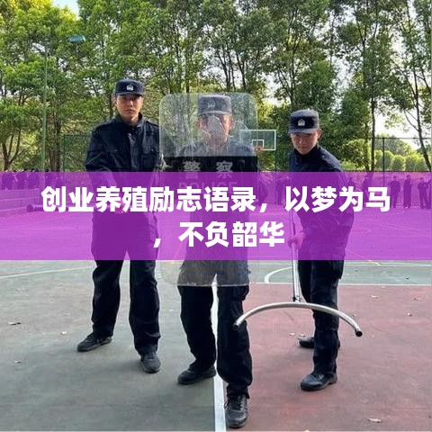 创业养殖励志语录，以梦为马，不负韶华