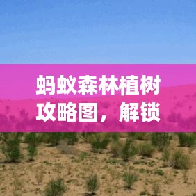 蚂蚁森林植树攻略图,解锁环保技能,共建绿色家园