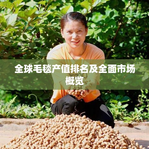 全球毛毯产值排名及全面市场概览