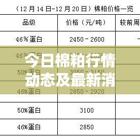 今日棉粕行情动态及最新消息