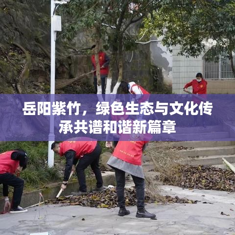岳阳紫竹，绿色生态与文化传承共谱和谐新篇章