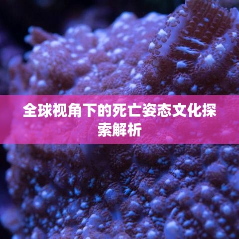 全球视角下的死亡姿态文化探索解析