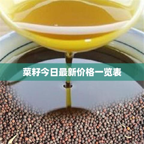 菜籽今日最新价格一览表