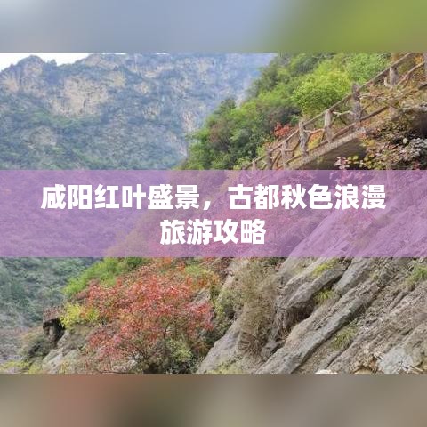 咸阳红叶盛景,古都秋色浪漫旅游攻略