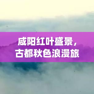咸阳红叶盛景，古都秋色浪漫旅游攻略