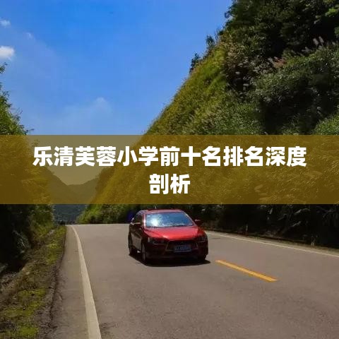 乐清芙蓉小学前十名排名深度剖析