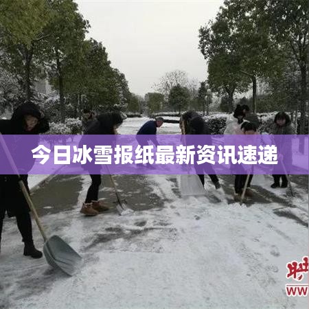今日冰雪报纸最新资讯速递