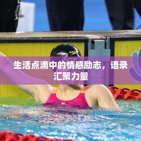 生活点滴中的情感励志，语录汇聚力量