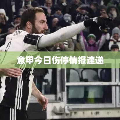 意甲今日伤停情报速递