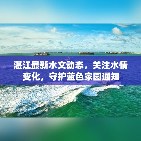湛江最新水文动态，关注水情变化，守护蓝色家园通知