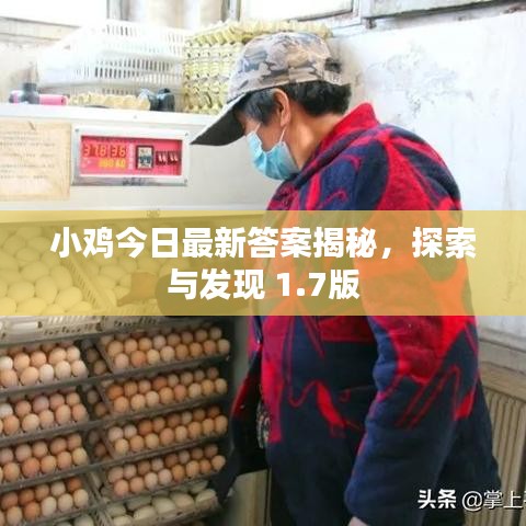 小鸡今日最新答案揭秘，探索与发现 1.7版