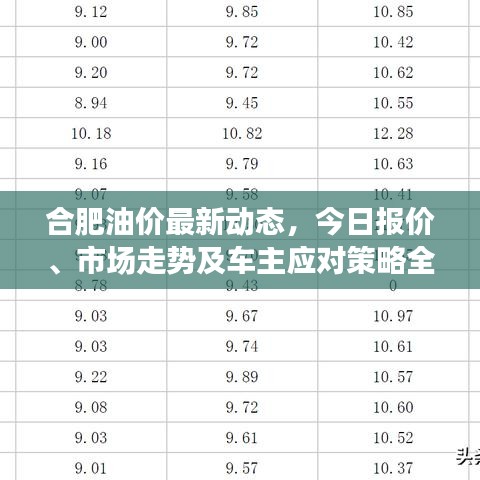 合肥油价最新动态，今日报价、市场走势及车主应对策略全解析