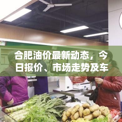 合肥油价最新动态,今日报价、市场走势及车主应对策略全解析