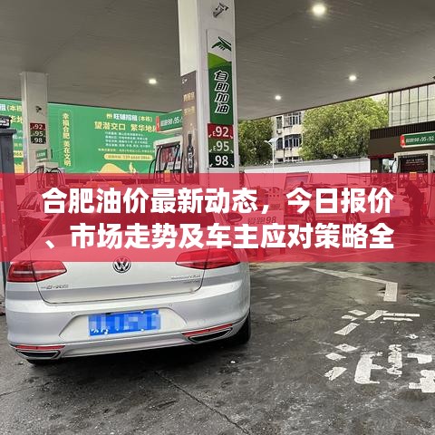 合肥油价最新动态,今日报价、市场走势及车主应对策略全解析