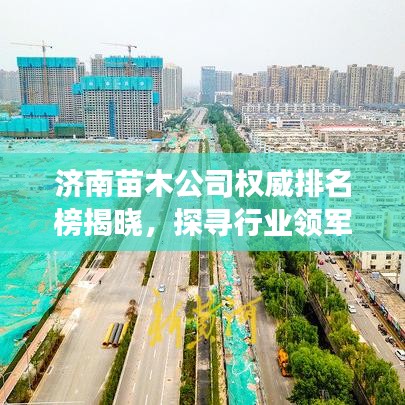 济南苗木公司权威排名榜揭晓,探寻行业领军者的成长足迹!