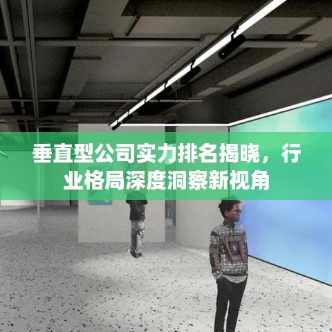 垂直型公司实力排名揭晓，行业格局深度洞察新视角