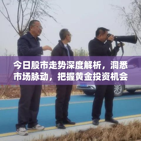 今日股市走势深度解析，洞悉市场脉动，把握黄金投资机会
