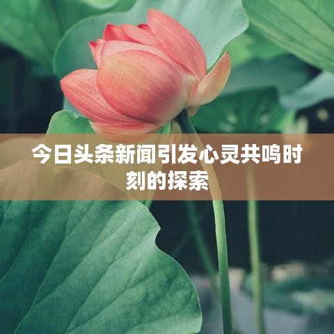 今日头条新闻引发心灵共鸣时刻的探索