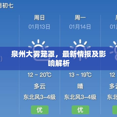 泉州大雾笼罩,最新情报及影响解析