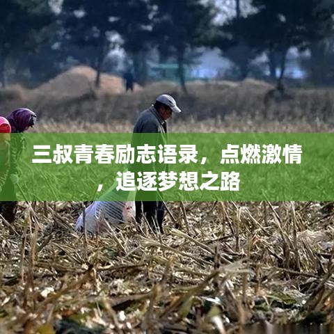 三叔青春励志语录，点燃激情，追逐梦想之路