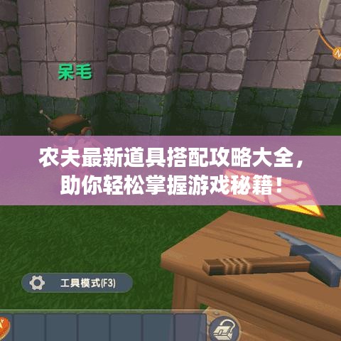农夫最新道具搭配攻略大全，助你轻松掌握游戏秘籍！