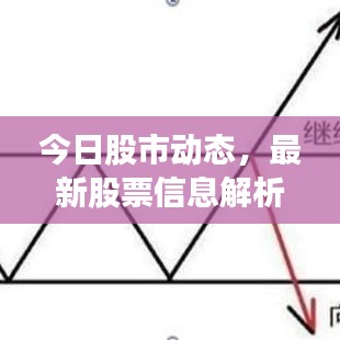 今日股市动态,最新股票信息解析、市场走势分析与策略调整建议