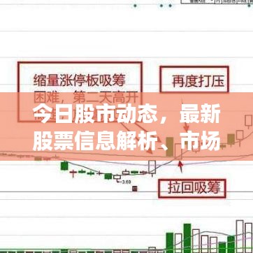 今日股市动态,最新股票信息解析、市场走势分析与策略调整建议