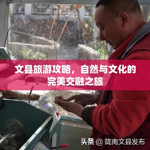 文县旅游攻略，自然与文化的完美交融之旅