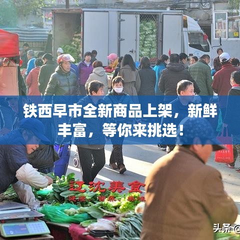 铁西早市全新商品上架，新鲜丰富，等你来挑选！